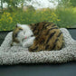 Plush Cat and Dog Dashboard Ornament, Cute Car Interior Decoration, Gift Idea