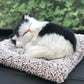 Plush Cat and Dog Dashboard Ornament, Cute Car Interior Decoration, Gift Idea