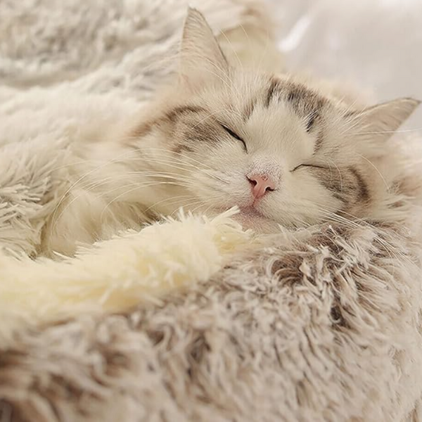 Hooded Nest Bed, Plush Fleece Warmth for Cats and Small Dogs