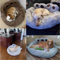 Paw-Shaped Pet Bed, Soft Plush, Non-Slip Base, Cats and Dogs