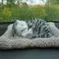 Plush Cat and Dog Dashboard Ornament, Cute Car Interior Decoration, Gift Idea