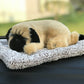 Plush Cat and Dog Dashboard Ornament, Cute Car Interior Decoration, Gift Idea