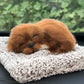 Plush Cat and Dog Dashboard Ornament, Cute Car Interior Decoration, Gift Idea