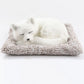 Plush Cat and Dog Dashboard Ornament, Cute Car Interior Decoration, Gift Idea