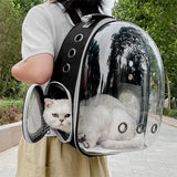 Space-Capsule Pet Backpack, Breathable Bubble Carrier for Cats and Small Animals