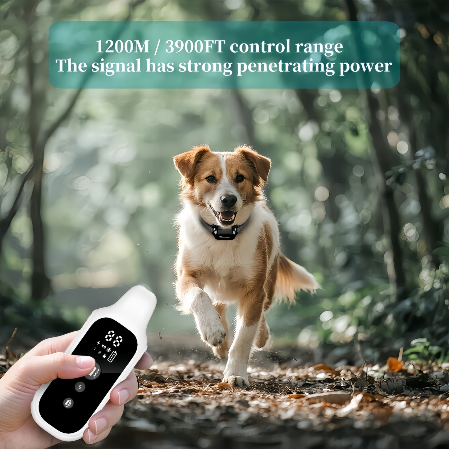 Digital Dog Training E-Collar, 800m Range, LCD Remote, Waterproof, All Breeds