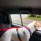Pet Car Seat Belt and Headrest Restraint, Adjustable Safety Harness for Dogs and Cats
