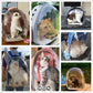 Space-Capsule Pet Backpack, Breathable Bubble Carrier for Cats and Small Animals
