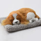 Plush Cat and Dog Dashboard Ornament, Cute Car Interior Decoration, Gift Idea