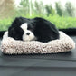 Plush Cat and Dog Dashboard Ornament, Cute Car Interior Decoration, Gift Idea