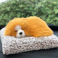 Plush Cat and Dog Dashboard Ornament, Cute Car Interior Decoration, Gift Idea