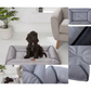 Chunky-Edge Pet Bed, Anti-Slip Base, Easy Clean, Dogs and Cats