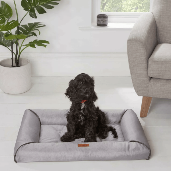 Chunky-Edge Pet Bed, Anti-Slip Base, Easy Clean, Dogs and Cats