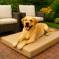 Heavy Duty Waterproof Dog Bed, Durable Crate Mattress for Puppies and Dogs