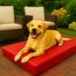 Heavy Duty Waterproof Dog Bed, Durable Crate Mattress for Puppies and Dogs
