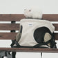 Front Chest Pet Carrier Backpack, Breathable, Hands-Free for Cats and Dogs